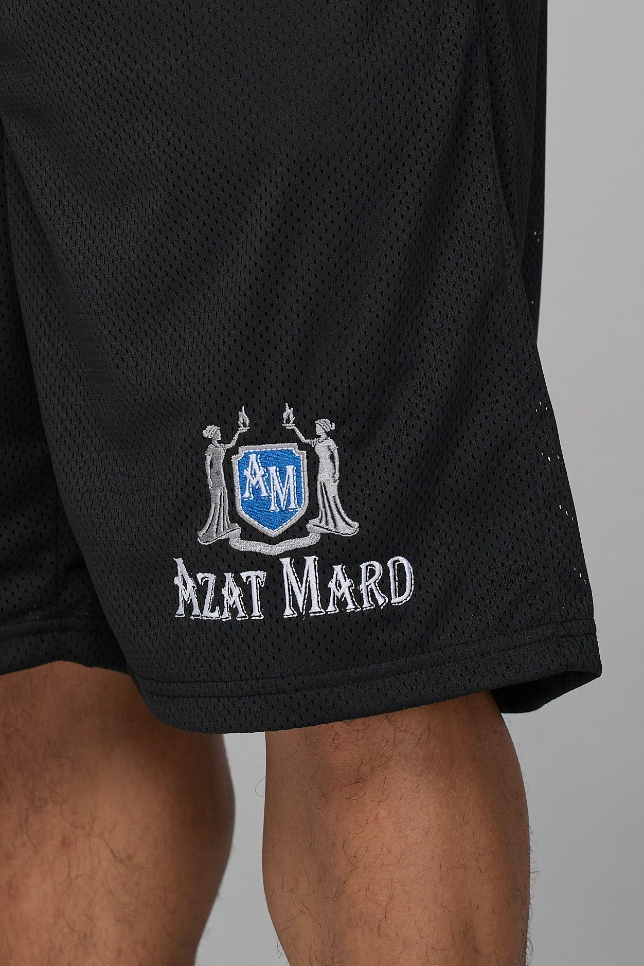 THE LOST GUIDING LIGHT BLACK MESH SHORTS - Image 3